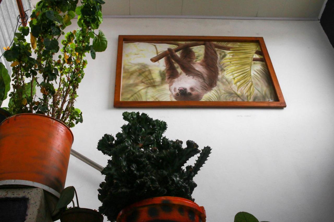 Hotel Casa Pacha à Guaduas Extérieur photo